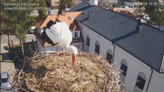 IMG_5469.jpeg