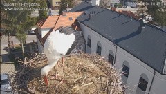 IMG_5470.jpeg