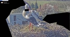 IMG_2989.jpeg