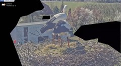 IMG_3068.jpeg