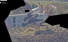 IMG_3070.jpeg