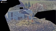 IMG_2995.jpeg