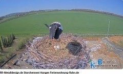 bandicam 2025-04-04 19-02-10-918.jpg