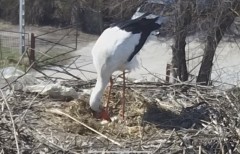 IMG_3059.jpeg
