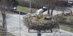 IMG_3062.jpeg