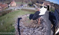 IMG_5454.jpeg