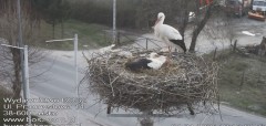 IMG_3217.jpeg