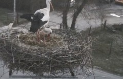 IMG_3221.jpeg
