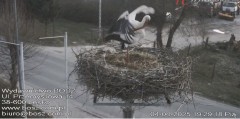 IMG_3226.jpeg