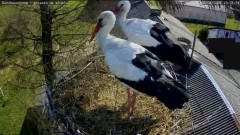 IMG_2431.jpeg