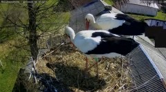 IMG_2450.jpeg