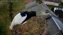 IMG_3178.jpeg