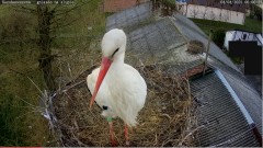 IMG_3179.jpeg