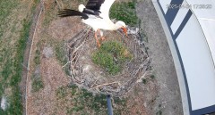 IMG_3246.jpeg
