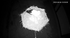 IMG_3250.jpeg