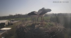 IMG_3287.jpeg
