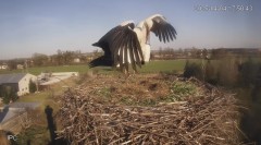 IMG_3303.jpeg