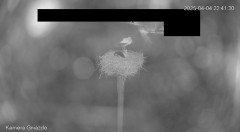 IMG_3369.jpeg