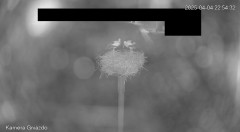 IMG_3375.jpeg