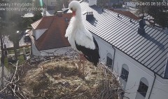 IMG_5497.jpeg
