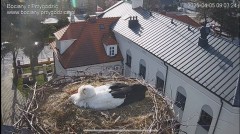 IMG_5499.jpeg