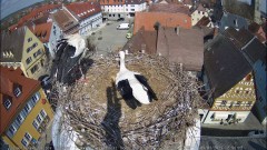 IMG_5533.jpeg