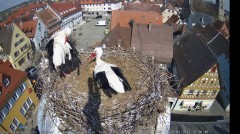 IMG_5535.jpeg