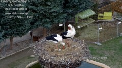 IMG_3427.jpeg