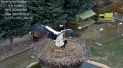 IMG_3429.jpeg