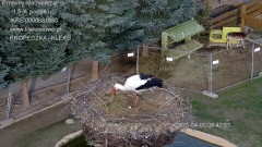 IMG_3431.jpeg