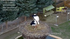 IMG_3432.jpeg