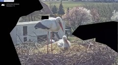 IMG_3593.jpeg
