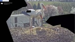 IMG_3597.jpeg
