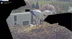 IMG_3600.jpeg