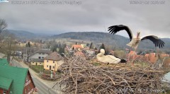 IMG_3541.jpeg