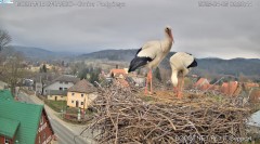 IMG_3545.jpeg