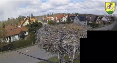 IMG_3588.jpeg