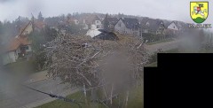 IMG_3442.jpeg