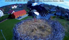 IMG_3438.jpeg