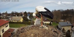 IMG_3447.jpeg