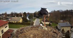 IMG_3451.jpeg
