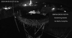 IMG_3640.jpeg