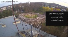 IMG_3645.jpeg