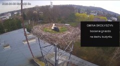 IMG_3650.jpeg
