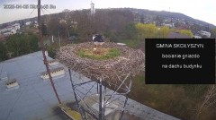 IMG_3651.jpeg