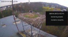 IMG_3653.jpeg