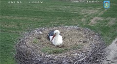 IMG_3572.jpeg