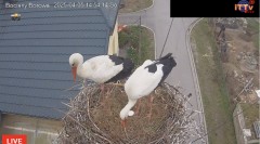 IMG_3621.jpeg