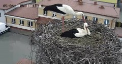 IMG_3498.jpeg