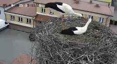 IMG_3503.jpeg